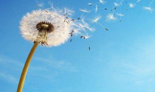 正能量语录集 正能量语录集短句