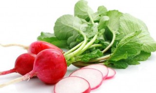 红萝卜种植时间和方法（红萝卜种植时间和方法视频）