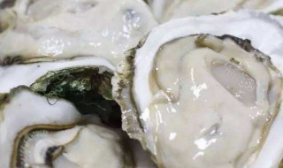 生蚝怎么处理好（生蚝怎么处理干净）