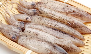 鱿鱼怎么处理干净不黑 鱿鱼怎么处理才不腥