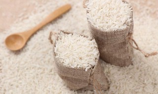 识别大米好坏的方法（识别大米好坏的方法有哪些）