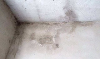 墙角发霉烂了怎么处理 墙角发霉烂了怎么处理好