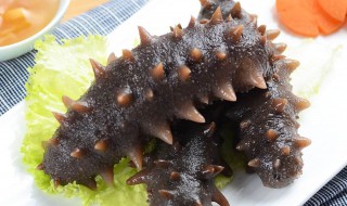 鲜冻的海参怎么处理（鲜冻的海参怎么处理好）