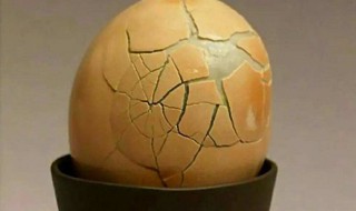 地上臭鸡蛋味怎么处理（拖地臭鸡蛋味）