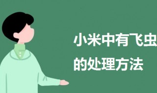 小米中有飞虫怎么处理 小米里有飞虫还能不能吃