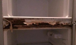 冰箱门有锈迹怎么处理（冰箱门上锈怎么办）