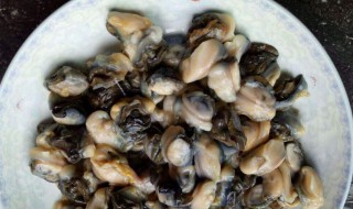 大田螺怎么快速处理干净（大田螺怎么快速处理干净图片）