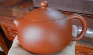 紫砂壶内的茶渍怎么处理（紫砂壶内的茶渍怎么处理掉）