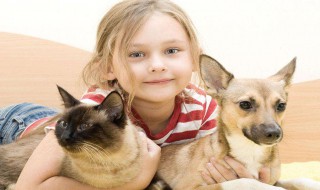 女孩姓名大全 女孩姓名大全20000个