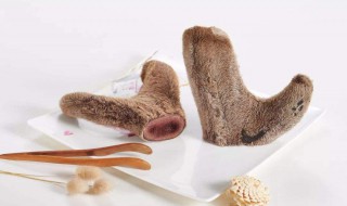 鹿茸怎么处理才不会变质（鹿茸的正确处理方法）