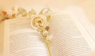 形容很忙的幽默句子（形容很忙的幽默句子 形容一天忙到晚的诗句）