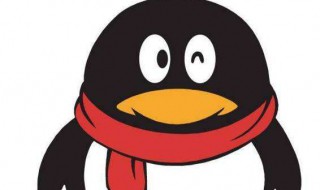 qq照片回收站在哪儿（qq相册回收站在哪里找）