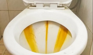 马桶壁污垢怎么去除 马桶壁上的垢怎么去除
