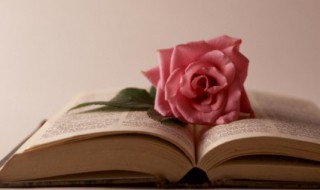 退伍军人励志句子 退伍励志的话