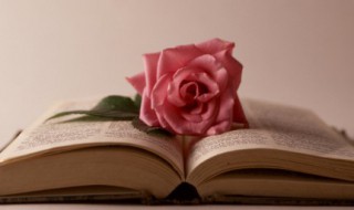 女孩变优秀的励志说说 女孩变优秀的励志说说短句