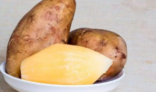 雪莲果几月份成熟（雪莲果一年四季都有吗）