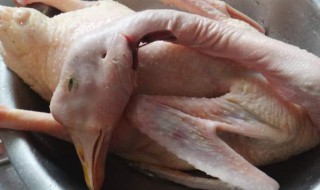 鹅肉的功效与禁忌（鹅肉为什么要少吃）