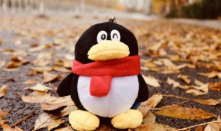 qq聊天记录怎么找回来 换了手机qq聊天记录怎么找回来