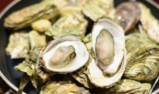 清蒸生蚝多少分钟 清蒸生蚝多少分钟窍门