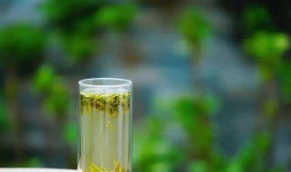 说一个人绿茶什么意思（说一个人是绿茶）