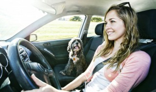 车船税什么意思（每年的车船税什么意思）