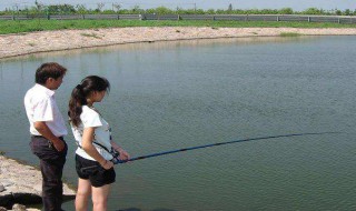 鱼杆28调什么意思 鱼杆调什么意思数字大的好还是小的好