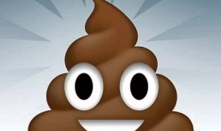 梦见踩屎了是什么意思 梦见踩屎了是什么意思周公解梦