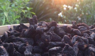 九蒸九晒黄精的功效与作用（黄芪精的副作用太大了）