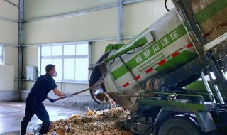 餐厨垃圾和厨余垃圾处置区别 餐厨垃圾和厨余垃圾处置区别是什么