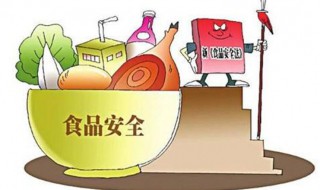 食品安全的重要性 食品安全的重要性100字