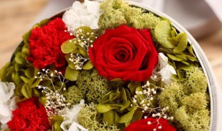 送给女的朋友什么礼物好 送给女朋友什么礼物好看又实用