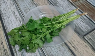 香菜祛斑方法（香菜如何祛斑）