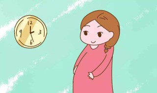 怎样数胎动（孕晚期怎样数胎动）