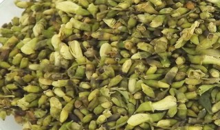 槐花茶的制作方法（槐花茶的制作方法和过程）