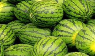 怎样挑西瓜 怎样挑西瓜才能挑到最好
