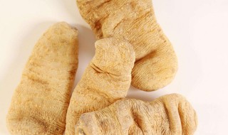 天麻的正确食用方法（天麻的正确食用方法时间）