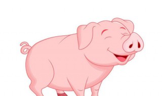 属猪男和什么属相最配 属猪男和什么属相最配婚姻