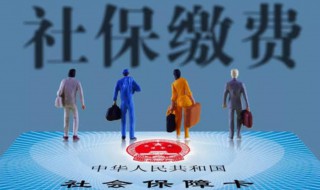 如何查询社保缴费情况（广东如何查询社保缴费情况）