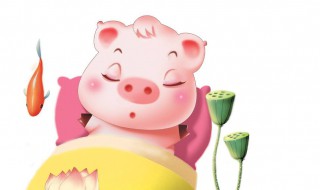 生肖猪和什么生肖最配 生肖猪和什么生肖最配对