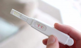 验孕棒的使用方法 淑女验孕棒的使用方法