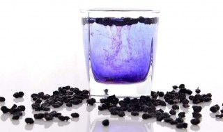 黑枸杞泡水一次放几粒（野生黑枸杞泡水一次放几粒）