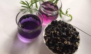 女人喝黑枸杞好处（女人喝黑枸杞好处月经）