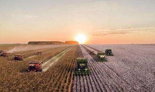 三农指的是哪三农（古代三农指的是哪三农）