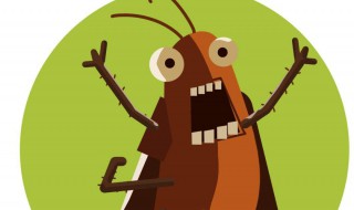 去除蟑螂最有效的方法 祛除蟑螂最有效的小妙招