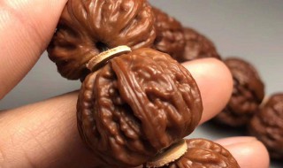 盘核桃的方法与技巧（快速盘核桃的方法与技巧）