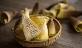 怎么挖冬笋技巧（怎么挖冬笋技巧绝招）