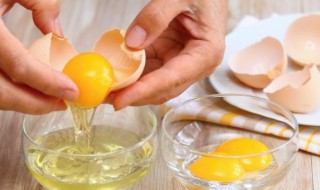 手动打蛋清的技巧（怎样手动打蛋清）