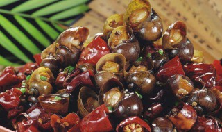 螺蛳肉的保存方法（螺蛳肉如何保存）