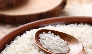 什么是粳米 什么是籼米什么是粳米