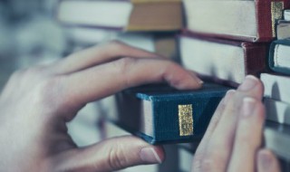 电极箔是什么东西